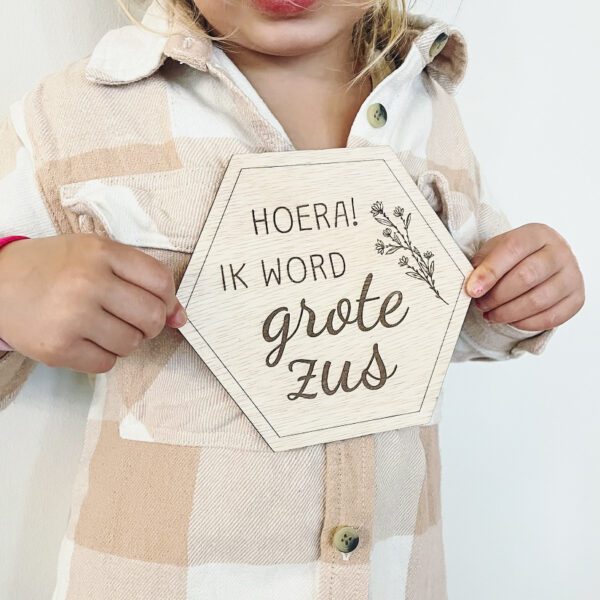 Zwangerschaankondiging zus hoera ik word grote broer gender reveal kraamcadeau