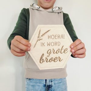 Zwangerschapsaankondiging hoera ik word grote broer gender reveal kraamcadeau