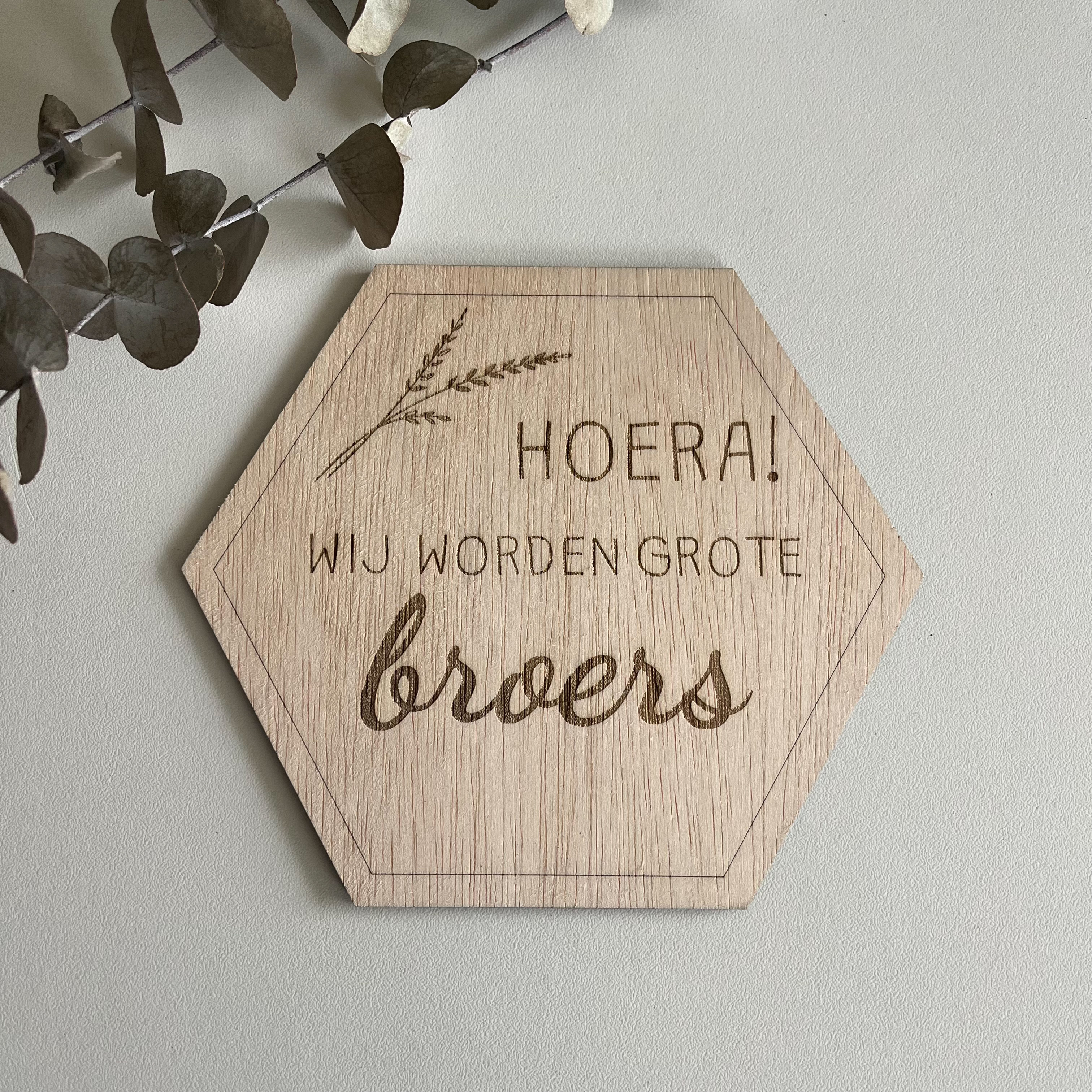 Aankondigen zwangerschap grote broers