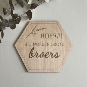 zwangerschapsaankondiging grote broers