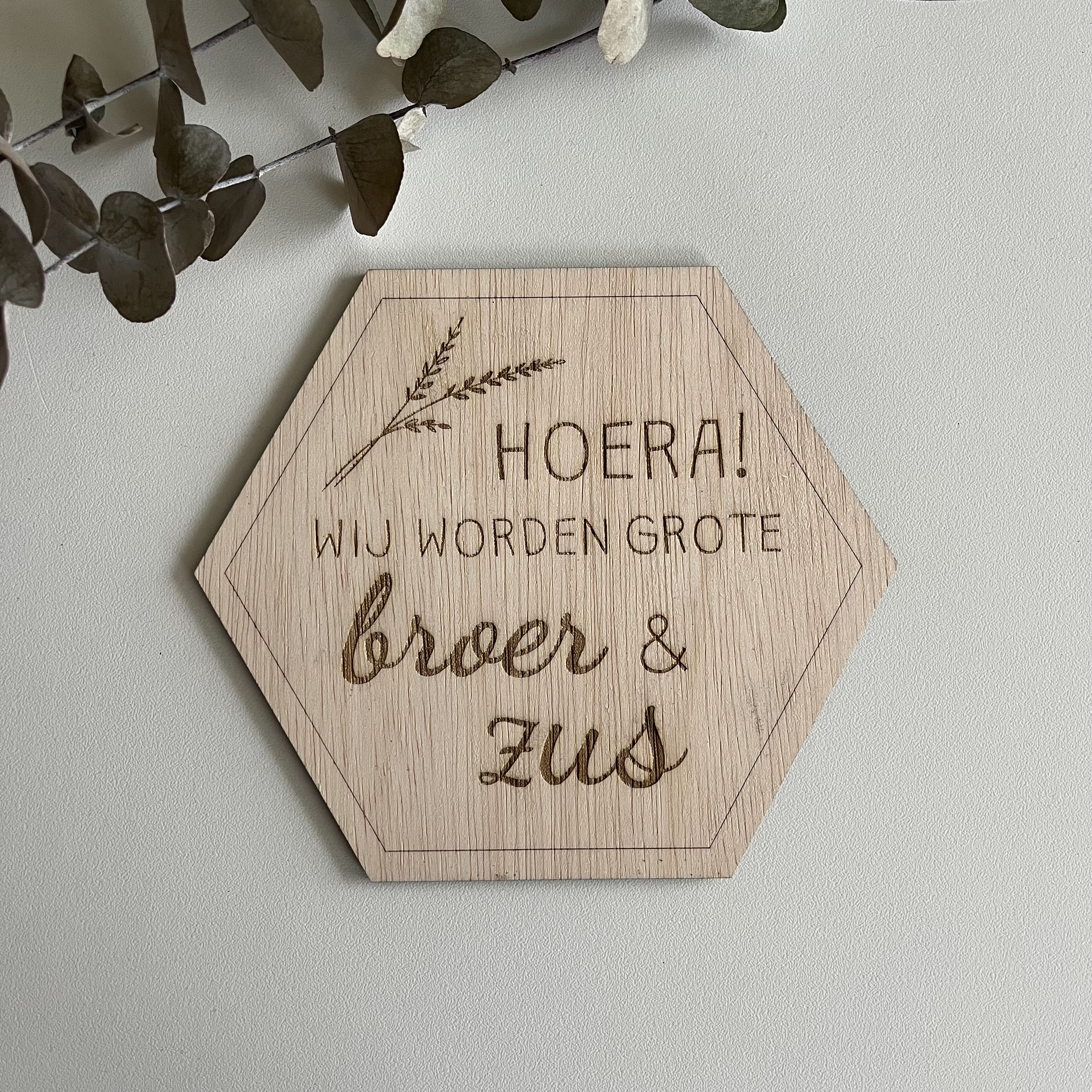 zwangerschapsaankondiging broer en zus