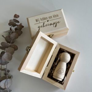 zwangerschapsaankondiging echo poppetje