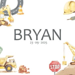 memorybox bouw stijl prints herinneringsbox van hout